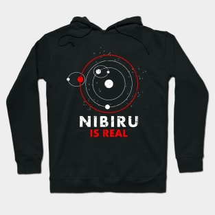 Nibiru is real Hoodie